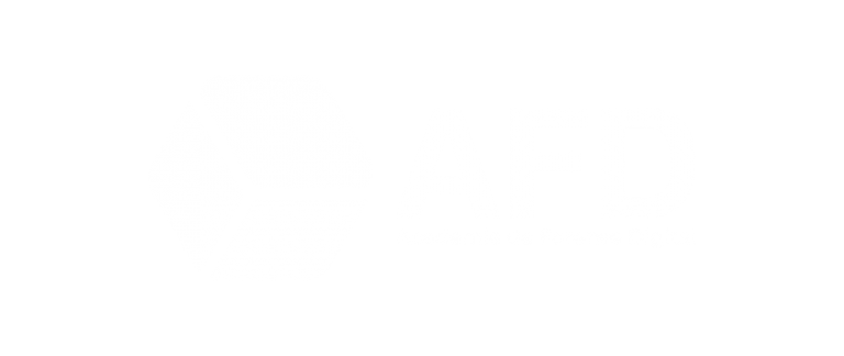Gestão do Canal e Produção de Conteúdos